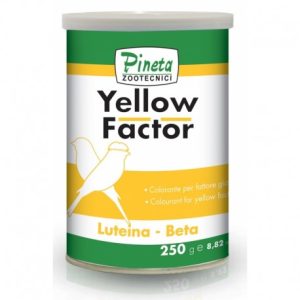 YELLOW FACTOR 100 GR